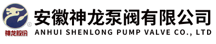 安徽神龍泵閥有限公司